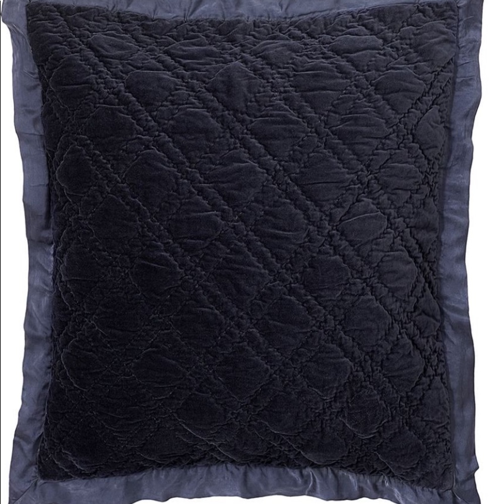 Pottery Barn Washed Velvet & Silk Euro Shams